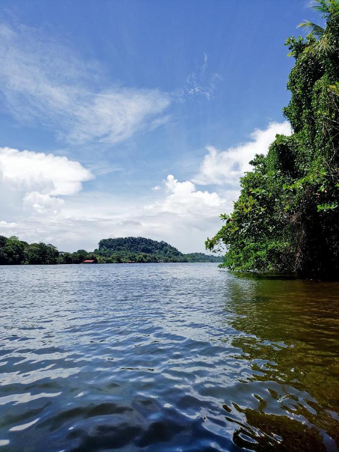 Hotel Casa Thirema Tortuguero Zewnętrze zdjęcie