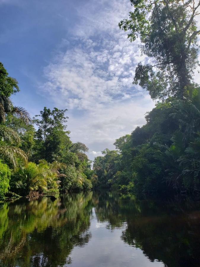 Hotel Casa Thirema Tortuguero Zewnętrze zdjęcie