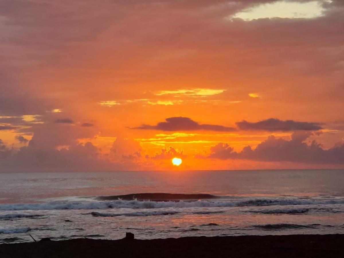 Hotel Casa Thirema Tortuguero Zewnętrze zdjęcie