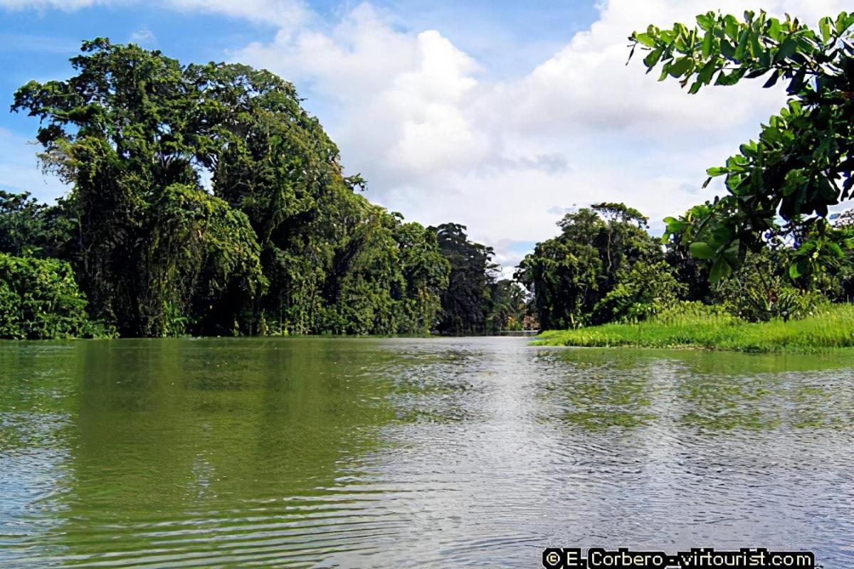 Hotel Casa Thirema Tortuguero Zewnętrze zdjęcie